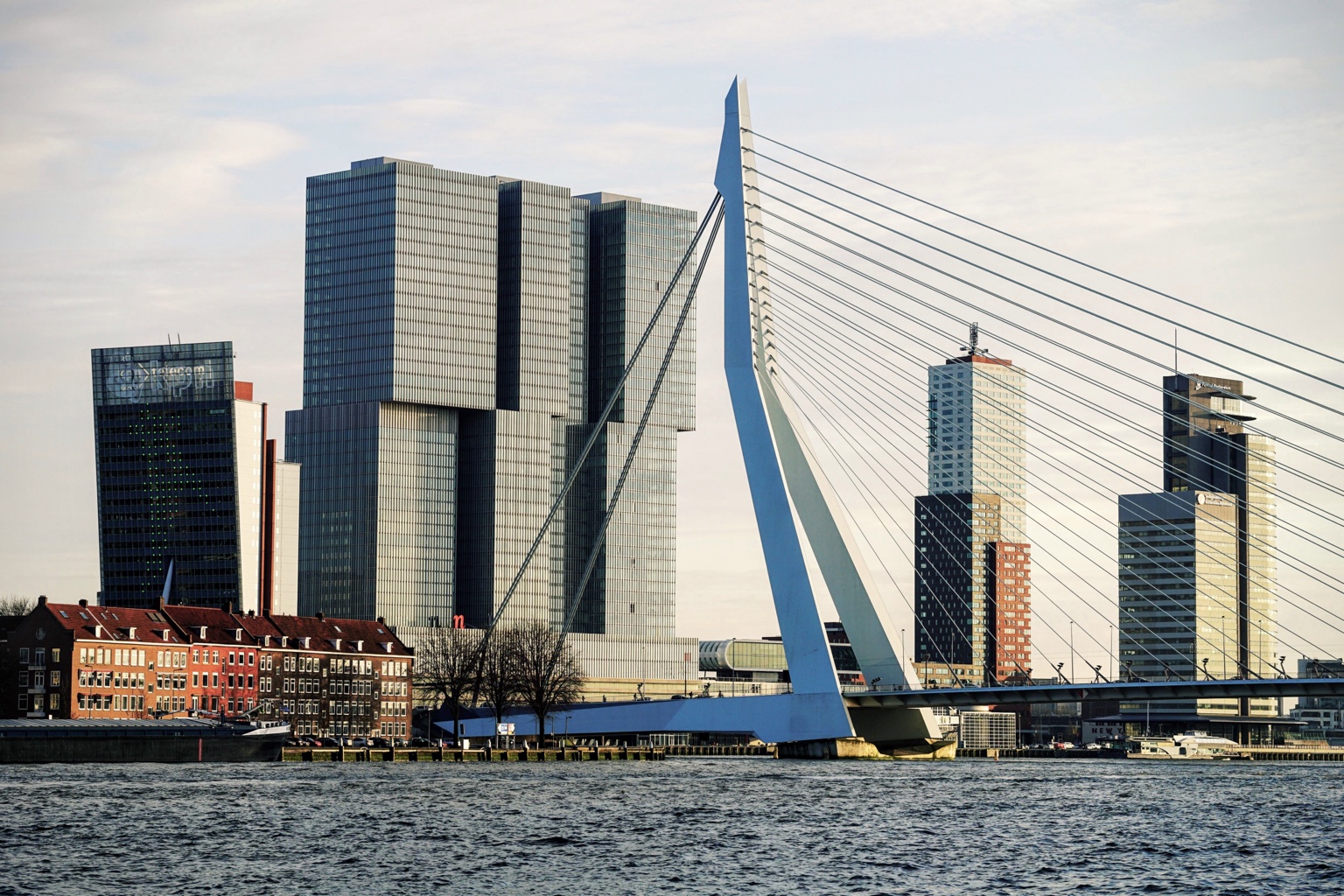 De Erasmusbrug en de skyline van Rotterdam